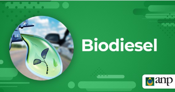 ANP faz audincia pblica sobre regulamentao da importao de biodiesel