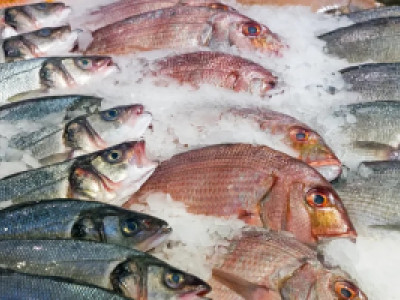 NOVA REGULAMENTA��O: Produtos com menos de 50% de pescado: o que muda na pr�tica